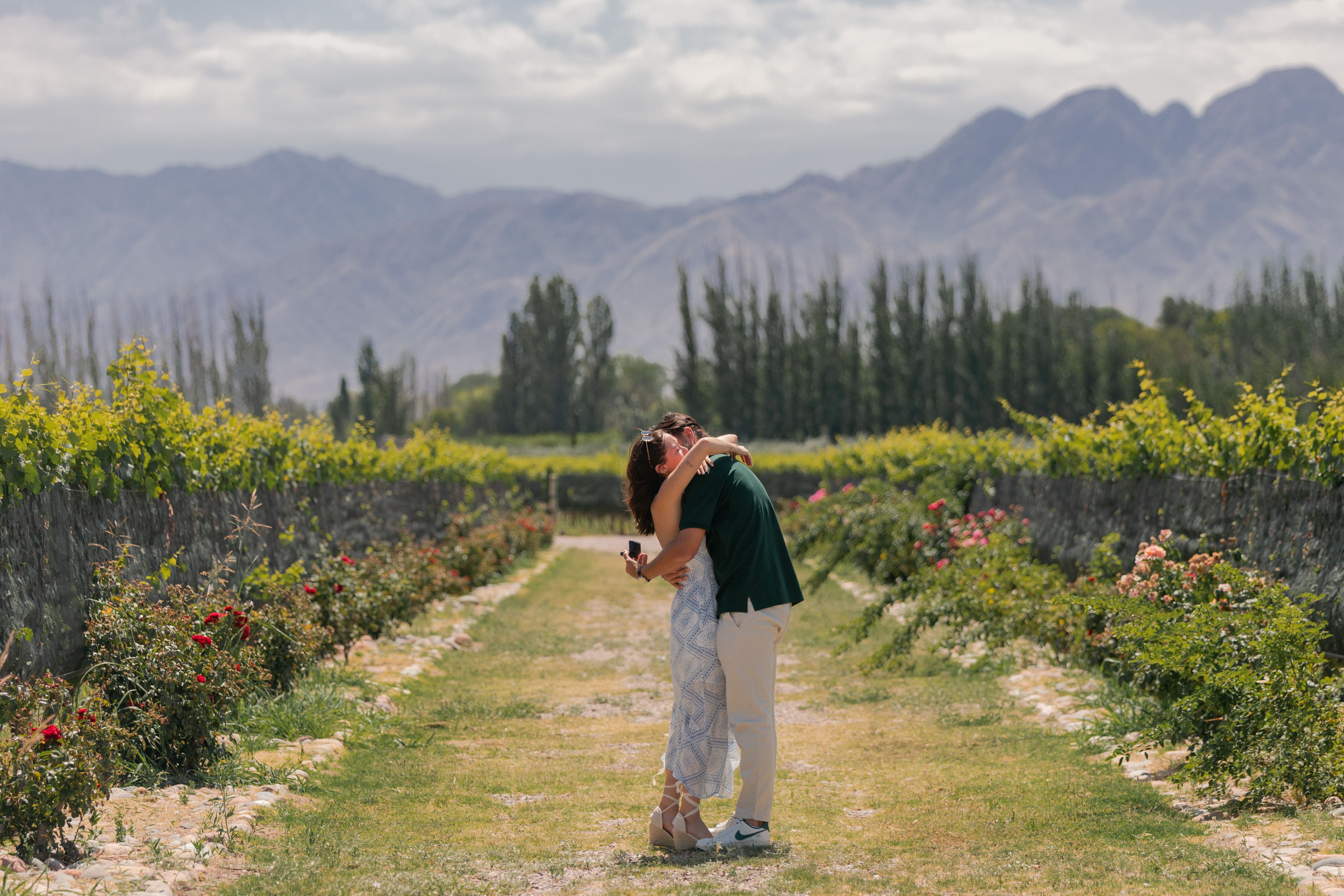 Foto de galería 6